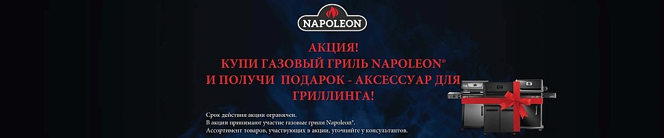 Газовые грили Napoleon в Ставрополе