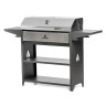 Мангал Professional Optima BBQ POBn 3000  