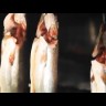 Угольный гриль-смокер коптильня Napoleon®, APOLLO-AS200K  -video